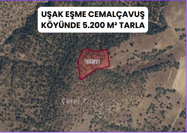 UŞAK EŞME CEMALÇAVUŞ KÖYÜNDE 5.200 M² TARLA - UŞAK EŞME fotoğraf 3